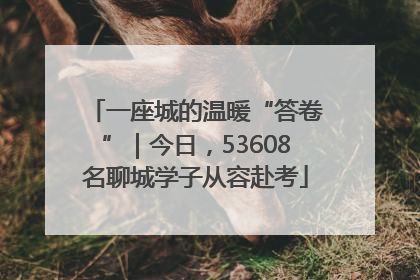 一座城的温暖“答卷”｜今日，53608名聊城学子从容赴考